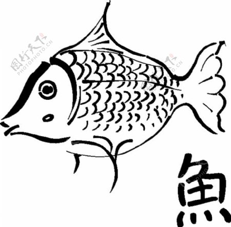 鱼的轮廓的剪辑艺术