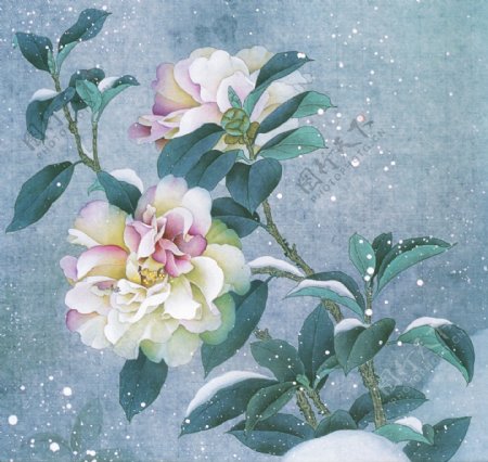 油画冬雪下的花