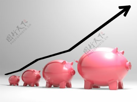 生长猪表现金融成长