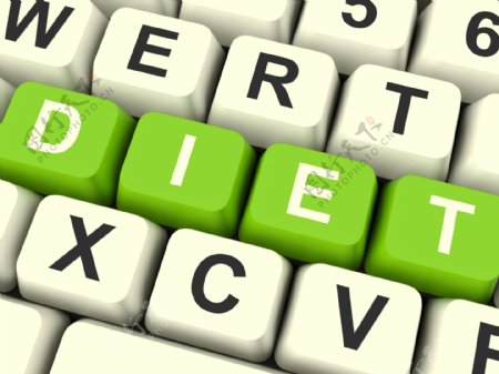 节食电脑按键显示饮食信息和意见