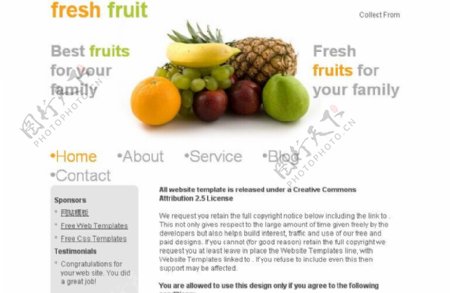 水果展示网站模板