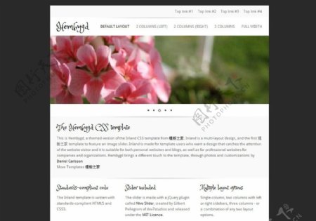 小清新企业模板网站