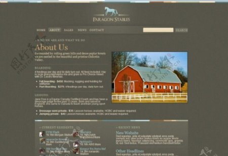 动物行业html模板