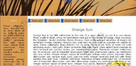 橙色信息介绍网页模板