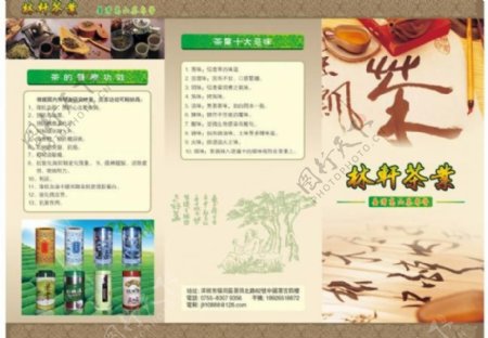 林轩茶业折页图片