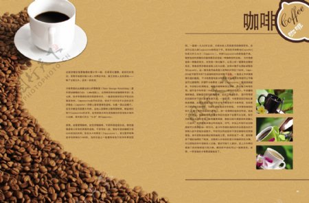 咖啡杂志宣传册图片