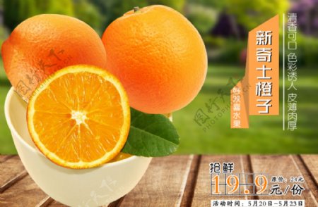 橙子特价海报图片
