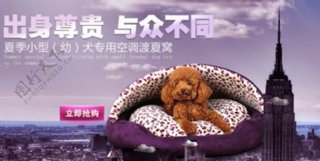 紫色狗窝调色版促销海报