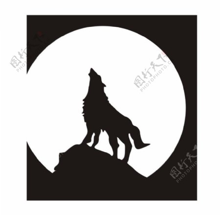 满月与狼图片