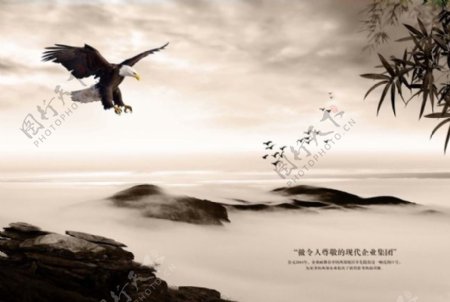 中国风展板挂画鹰