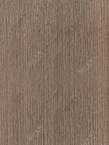 木材木纹木纹素材效果图木材木纹555