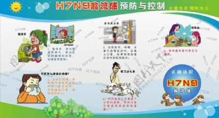 h7n9禽流感预防图片