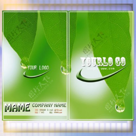 经典绿色时尚PSD名片设计素材模板