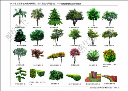 植物图例