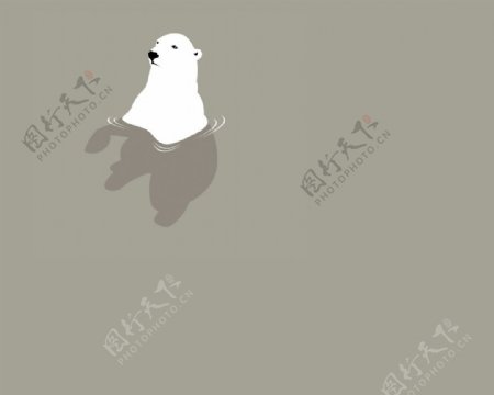 高清2D水中的北极熊桌面背景图片