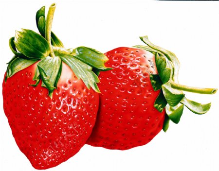 两只草莓特写新鲜草莓红草莓图片草莓素材