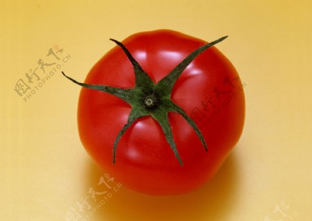 高清水果蔬菜图片素材西红柿