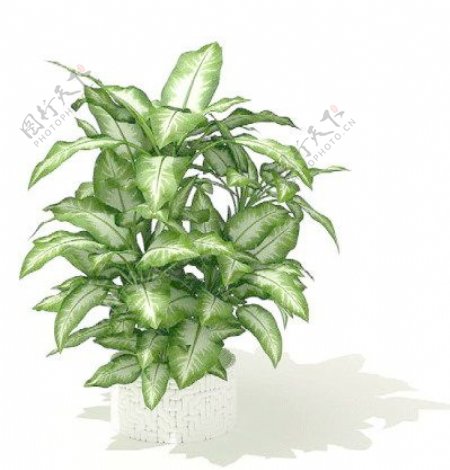 植物盆栽室内装饰素材免费下载盆栽3d模型免费下载177