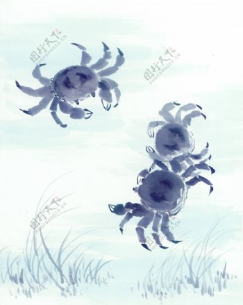 绘画螃蟹