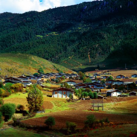 香格里拉藏族村落