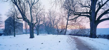 冬天雪景