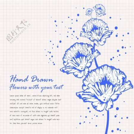 矢量手绘线稿花朵卡片背景