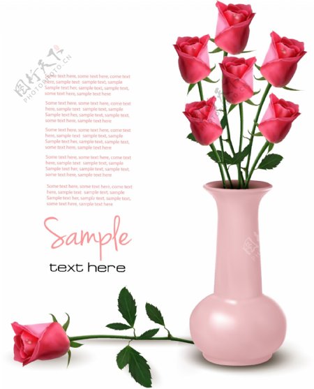 粉色玫瑰矢量素材