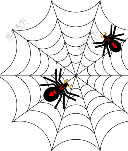 蜘蛛蜘蛛网