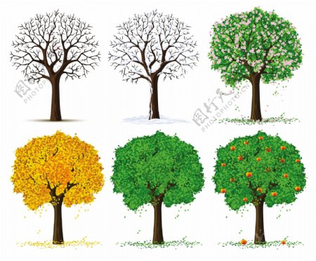 四季的树