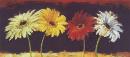 高清晰花卉油画无框画图片
