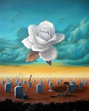 死亡玫瑰图片