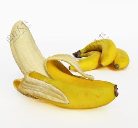 香蕉水果模型图片