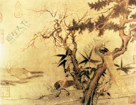 中国花鸟画名家马良书画真迹红梅孔雀图