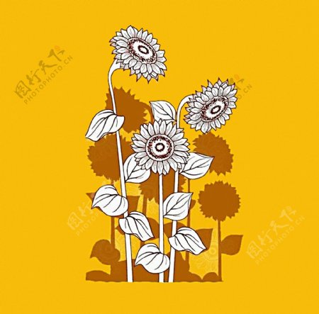 位图植物图案写意花卉花朵向日葵免费素材