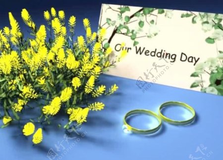 婚庆戒指背景视频素材图片