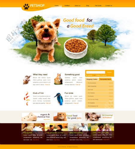 宠物商店网站首页PSD模板下载