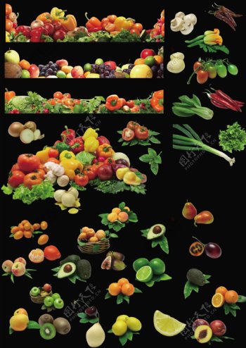各类水果蔬菜