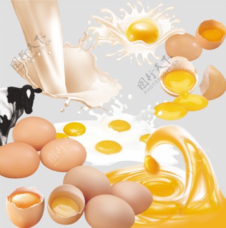 牛奶鸡蛋大集合
