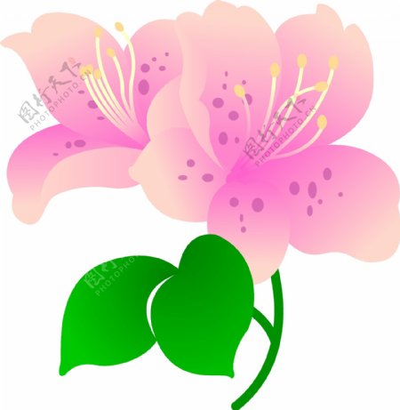 印花矢量图优雅植物毛衫印花卡通优雅植物色彩免费素材