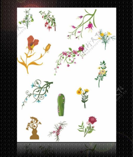 花纹底纹植物图片