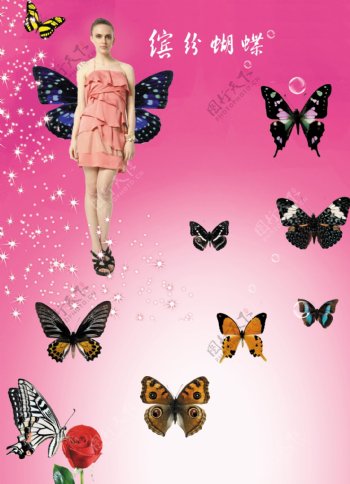 蝴蝶和美人图片