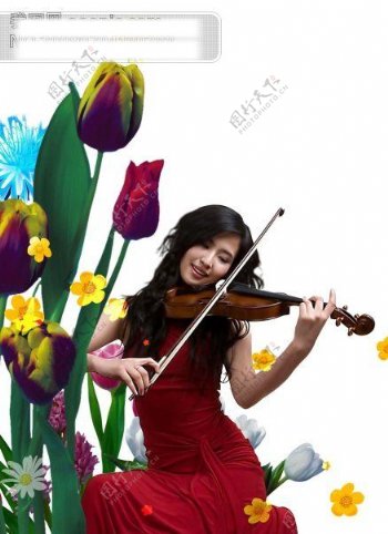 音乐拉小提琴的女人郁金香花朵