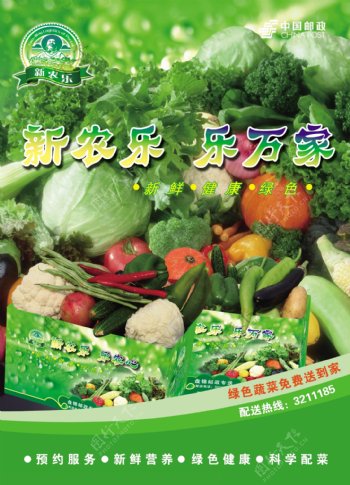 邮政蔬菜图片