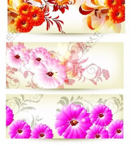 炫彩花卉装饰横幅矢量