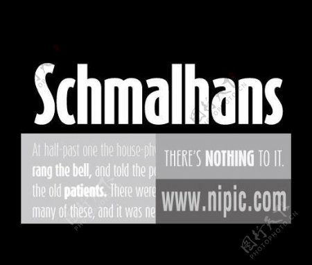ffschmalhans系列字体下载图片