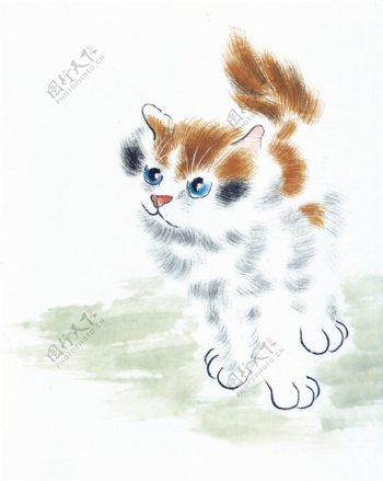 猫咪病猫花猫小猫动物可爱家猫中华艺术绘画