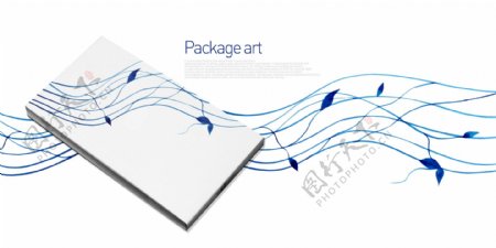 底纹包装盒包装封面花纹盒子礼品psd分层源文件东方设计元素