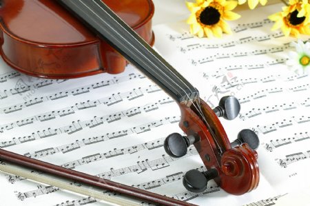 小提琴乐谱图片
