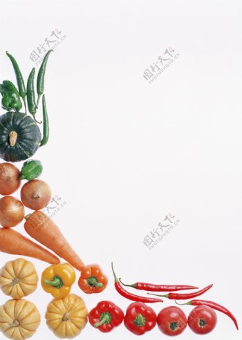 纯背景的艺术蔬菜图片
