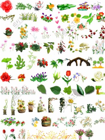 植物插图设计素材